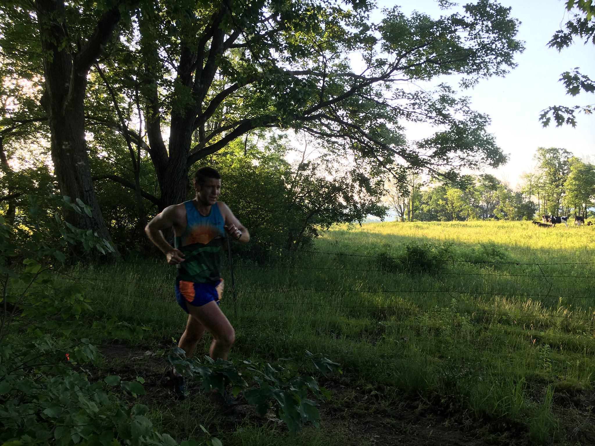 Finger Lakes 50s: A Race of Ice and Fire - Finger Lakes Runners Club